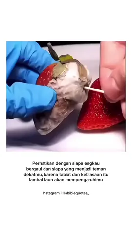 🌸 بسم الله.........  Jika kita menyimpan buah busuk dan di tempatkan di samping buah-buahan yang masih baik dan segar, Apa yang akan terjadi? Maka seiring dengan berjalannya waktu Jamur dari buah busuk itu akan tersebar ke buah yang masih dalam kondisi baik, dan akhirnya buah yang segar itu akan ikut membusuk juga. Demikian halnya, apa yang akan terjadi jika kita bergaul dengan orang-orang yang tidak membuat kita baik. https://t.me/mengenalsunnahs Dalam seiringnya waktu maka kita juga akan terpengaruh menjadi seperti mereka, oleh karena itu hendaknya kita memperhatikan siapa yang menjadi teman dekat kita, Karena teman dekat dapat memberi pengaruh dalam memperbaiki keadaan atau malah justru merusaknya. Nabi صلى ألله عليه وسلم  bersabda, “Seseorang itu mengikuti diin (agama; tabiat; akhlaq) kawan dekatnya. Oleh karena itu, hendaknya seseorang di antara kalian memperhatikan siapa yang dia jadikan kawan dekat.” (HR. Abu Dawud, Silsilah ash-Shahihah no. 927) Teman dekat itu dapat memberi pengaruh baik atau justru pengaruh buruk. Banyak orang perlahan-lahan berubah menjadi baik, sebab karena pengaruh teman yg baik, Dan sebaliknya banyak pula orang perlahan-lahan berubah menjadi buruk, juga karena sebab pengaruh teman yg buruk. Maka disinilah hendaknya kita benar² selektif dan memperhatikan dengan siapa kita bergaul dan siapa yg menjadi teman dekat kita, sebab tabiat seseorang itu mengikuti kebiasaan teman dekatnya. Semoga Allah ﷻ menjauhkan kita dari teman yang buruk dan di karuniakan teman² yang baik dan shalih. *** ✍ Habibie Quotes. بارك الله فيكم