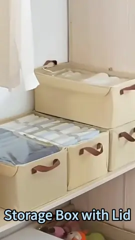 Storage box with lid!     #tiltok #storage #storagebox #goodthing #storageboxmurah #foryou 