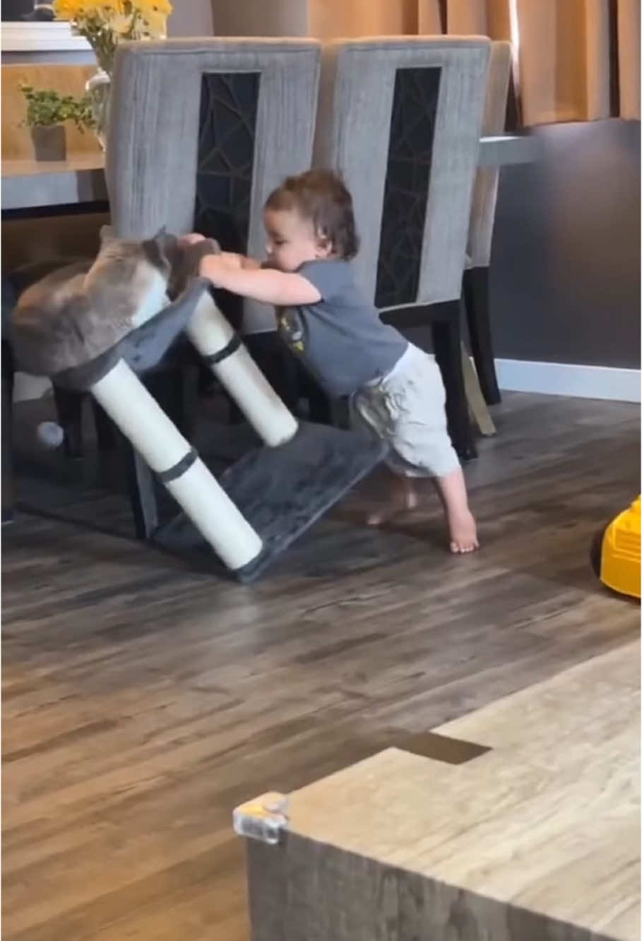 Cats hate children.#foryour #cat #catsoftiktok #funny #funnycat #funnyvideos #funnytiktok #tiktok 