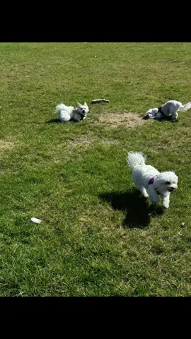 Luna liking life. 