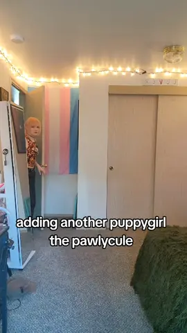 get included  #collar #puppygirl #trans 