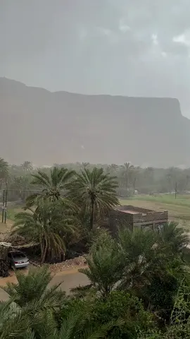 #تصويري #حضرموت #وادي_دوعن #اليمن #الراس                    نود وابن ادم ع ماتعود🥺❤️.