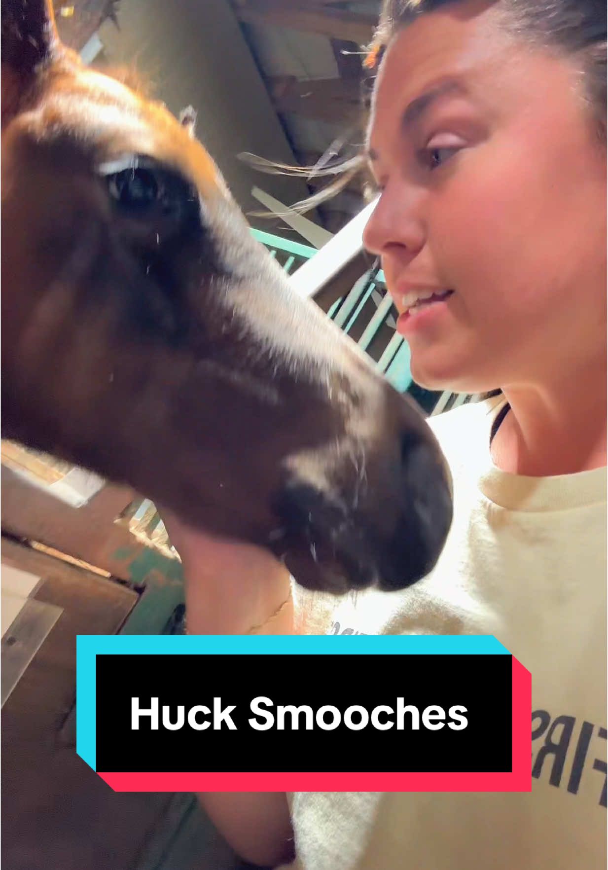 Forgot to post these much needed smooches last night🥹🐴 #foalsoftiktok #foalsof2025 