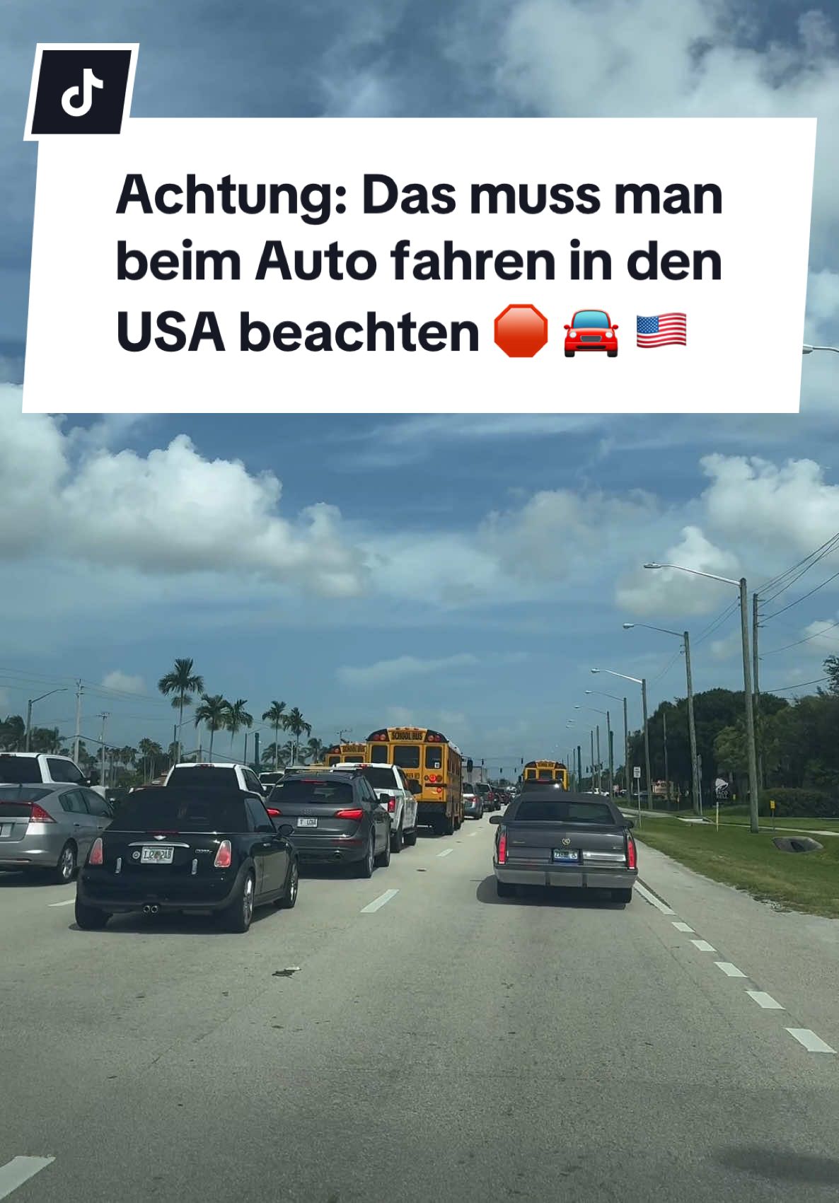 Das Letzte hätte ich nie erwartet 😳 Kanntet ihr diese Regeln schon? #usa #Miami #Florida #amerika #auto #car #auswandern #lifeinamerica #germaninamerica 