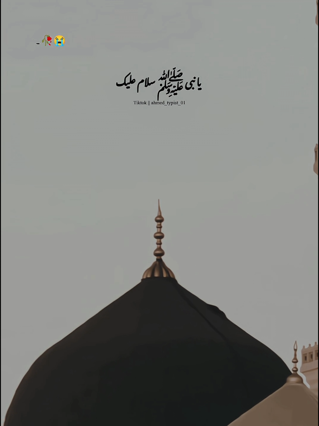 یا نبی ﷺ سلام علیک #pleasetiktokteamviralvideo💯 #islamic_video #viral_vid #unfreezemyacount #fyp #ahmed_typist_01 #ahmed @SHAHZAIB TYPIST ❤️🌼 @꧁𓊈غلام مصطفی ﷺ𓊉꧂ 