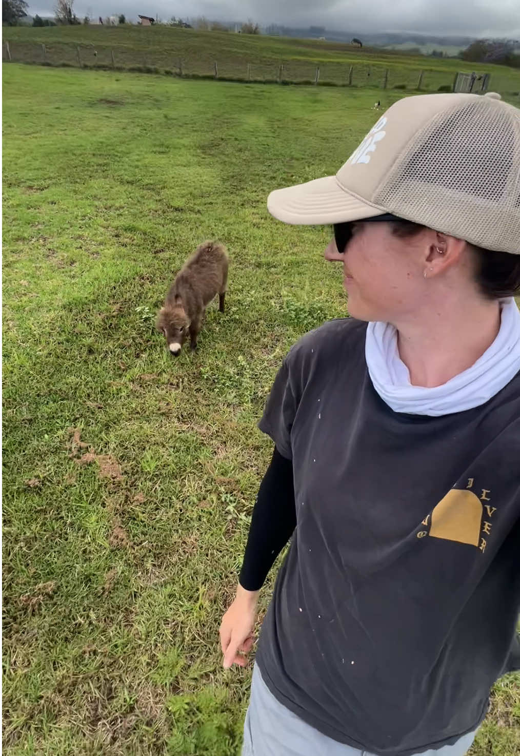Cutest lil shadow ever. #farm #farmtok #farmlife #farmanimals #donkey #minidonkey #donkeysoftiktok 