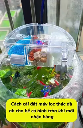 Lắp Máy lọc thác cho bể cá tròn🥰#cacanhthuysinhtmb #xuhuong #maylocthac #maylocbecatron #maylocmini 