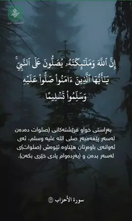 #rzgaraziz225 