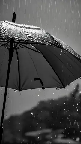 When the rain can’t stop the magic 🌧️✨ Black and white photography capturing the beauty of raindrops falling on my umbrella. Simple moments hold the most wonder. #asmrsounds #BlackAndWhitePhotography #RainySeason #Umbrella #FilmMaking #CinematicMoments #Asmr #MoodBoards#rain #AestheticVibes #rainsounds 