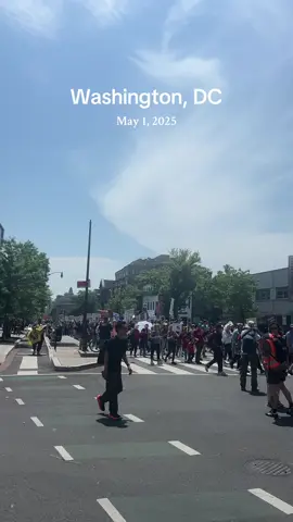 at what point are you going to do something @Democrats  #washingtondc #help 
