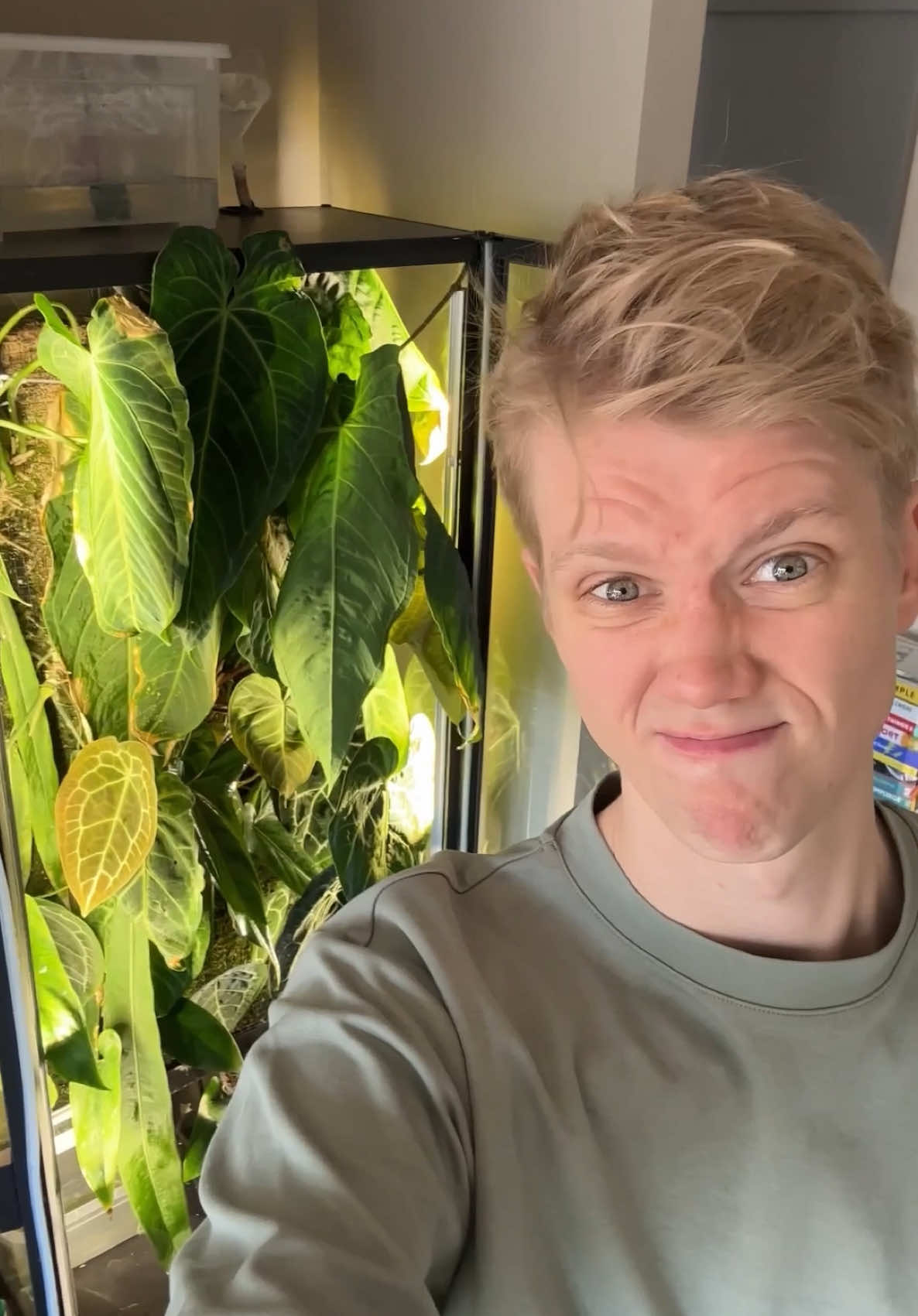 Living-Wall Part 1 Heute erfahrt ihr wie alles angefangen hat 🤯 wie krass sich das Ganze in zwei Jahren entwickelt hat 🌿 #pflanzen #pflanze #PlantTok #plantsoftiktok #plant #plants 