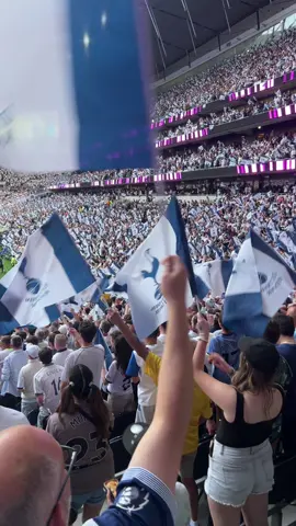 Now that’s what I call a TIFO #COYS #tottenham #tottenhamhotspur 
