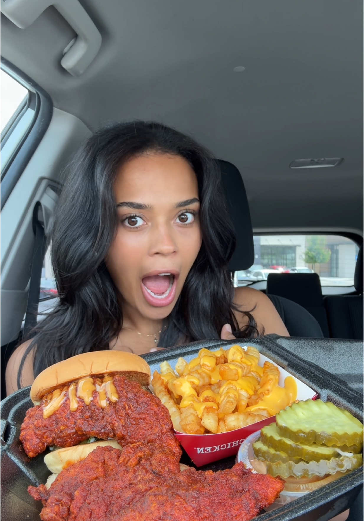 Dave’s Hot Chicken #daveshotchicken #daveshotchickenreview #hotchicken #chickentenders #cheesefries 
