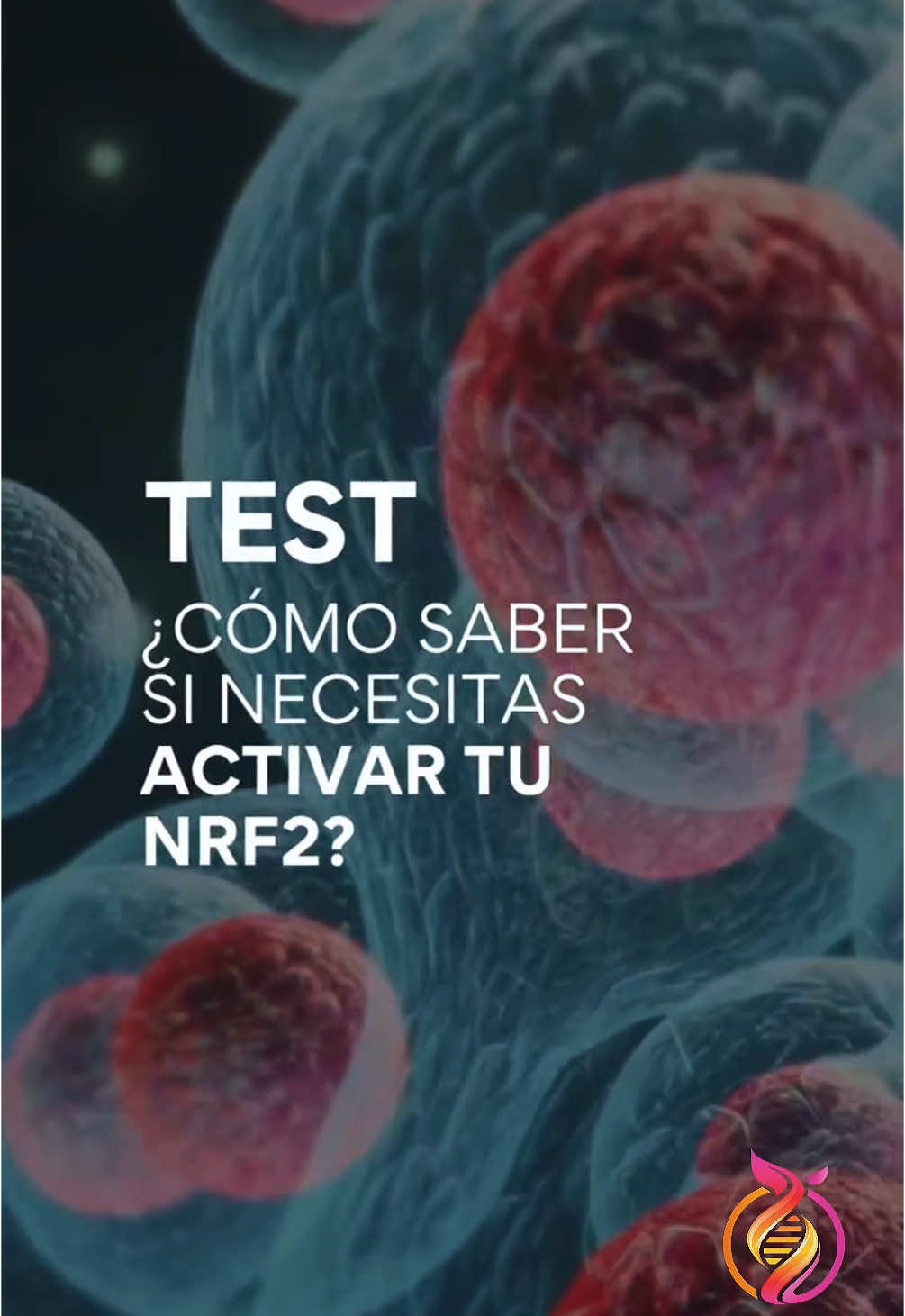 ¿Y si tus síntomas no fueran normales… sino señales de un cuerpo pidiendo ayuda? Este test rápido te puede revelar si necesitas activar tu NRF2 y empezar a regenerar desde adentro. Tu cuerpo tiene una proteína capaz de defenderte, solo necesita que la actives. #nrf2 #Salud#saludcelular #epigeneticaigacrónica #gnmx #i#inflamación #activz #test #suplementosnaturales #activatusalud 