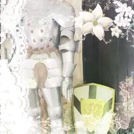 #history #middleage #knight #fyp #viral 