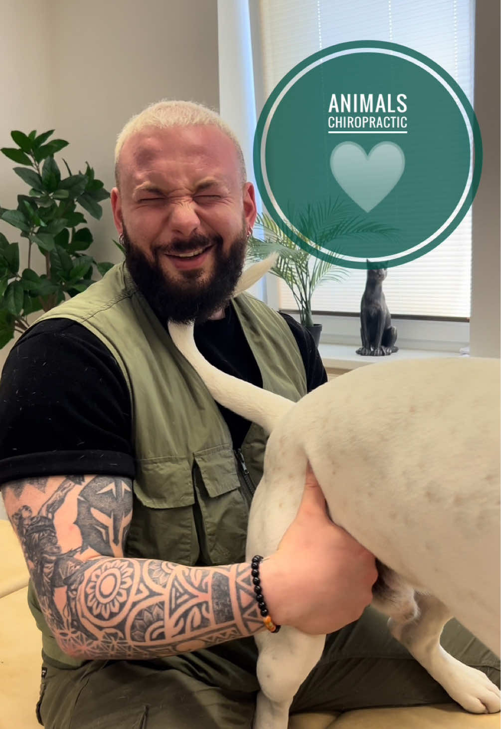 Dog with back pain 🥹🥹 • • • #foryou #asmr #animal #chiropractortiktok #türkiye #hundeauftiktok #hund #tiere #Love 
