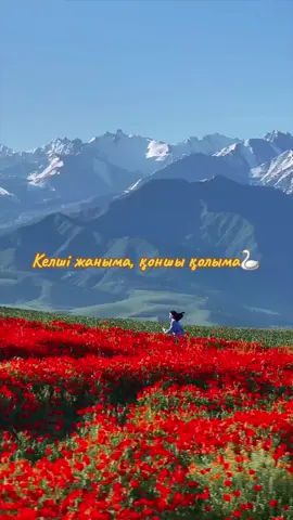 #🇰🇿🌹🇰🇿🌹🇰🇿🌹 