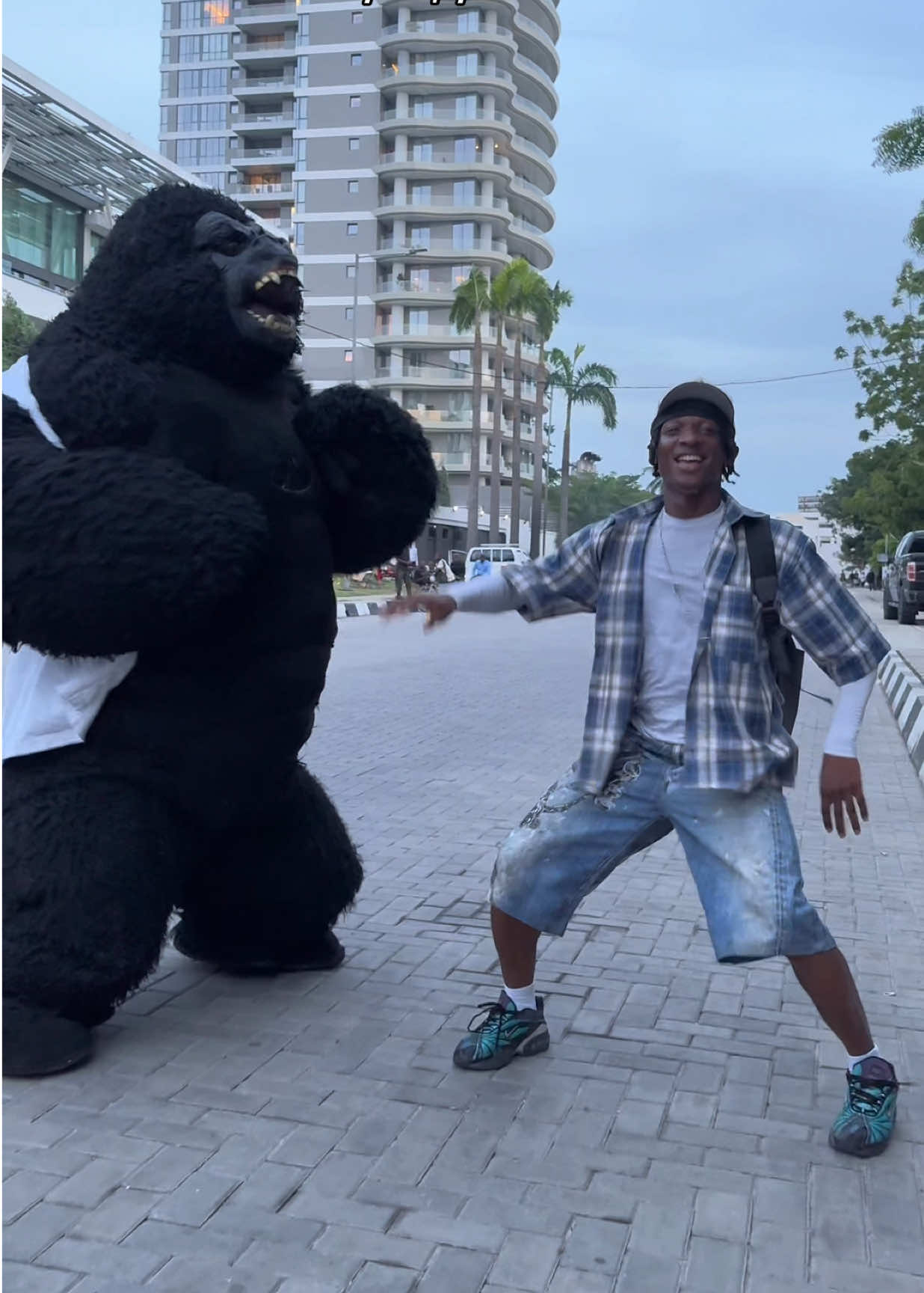 POV : South Africans when other Countries are fighting the GORILLA 🇿🇦😂 #fypシ #viral #dance #prank #amapiano #amapianodance #southafrica #nigeriantiktok🇳🇬 #100menvs1gorrila #gorilla 