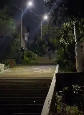 Different ways for dogs to get down stairs.#dog #funnydog #dogs #funnyvideos #fyp 