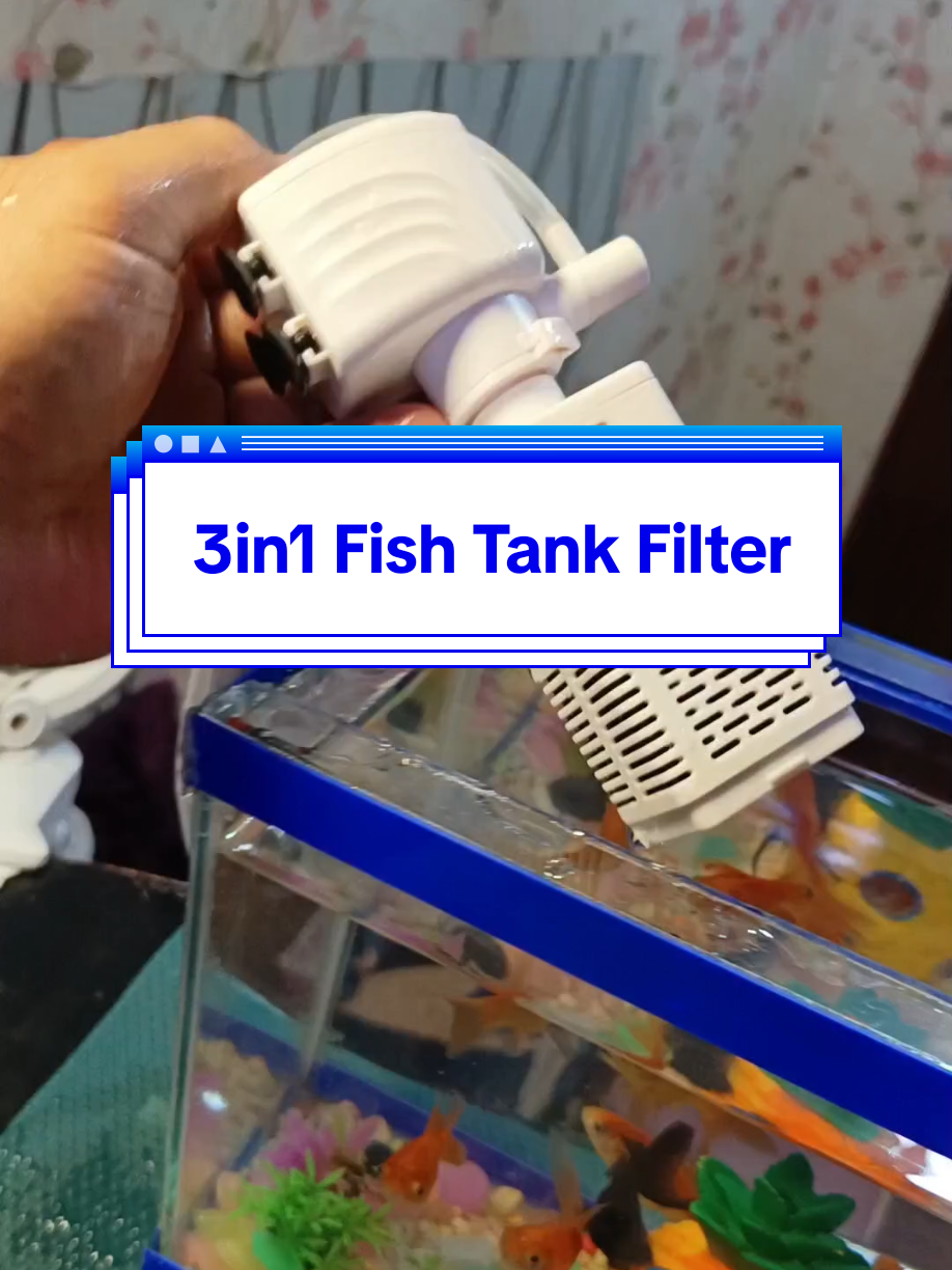 #AquariumEssentials #TahimikNaFilter #3in1FilterSolution #FishTankGoals #SubmersibleFilter #OxygenForFishes #AquaLifePH #FishLoversPH #FilterItRight #SilentButPowerful