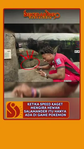 KETIKA SPEED KAGET MENGIRA HEWAN SALAMANDER ITU HANYA ADA DI GAME POKEMON #fyp #speed