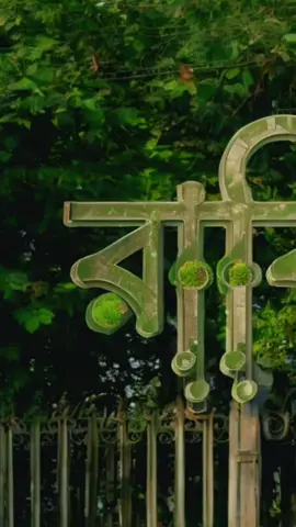 #কপি_লিংক_করো_প্লিজ_প্লিজ #সবাই_একটু_সাপোর্ট_করবেন_প্লিজ #2025 #name #রাব্বি 