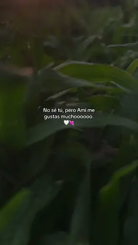 #paratiiiiiiiiiiiiiiiiiiiiiiiiiiiiiii #fypp #frasesparadedicar❣️ #frasesdeamor💕 #💕💕💕 #musicas #teamo💘 #novios #cosasbonitas #dedicarvideos♡ #soyviralシ 