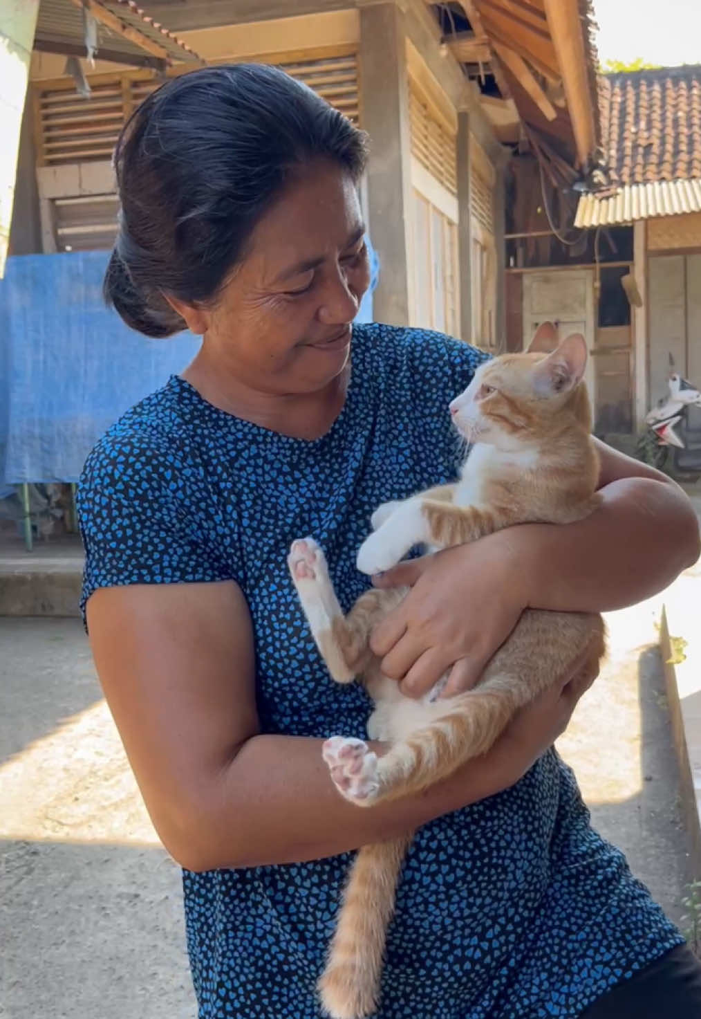 Spay and Neuter saves lives ❤️‍🩹 In collaboration with vet Ketut @drhiketut and his assistant vet Cendy @yohanacendy we were holding another sterilization event. A total of 26 animals were successfully spayed and neutered: Female Dogs: 15 Male Dogs: 3 Female Cats: 7 Male Cats: 1 We furthermore provided 23 rabies vaccines and 2 full vaccinations. Also 2 dogs received another session of chemotherapy for their life threatening and highly contagious TVT cancer.  This event was once again the prevention of thousands of lives and made another huge impact in improving animal welfare and in slowing down the flow of unwanted puppies and kittens.  We want to thank all of you for helping us to make this day possible for the animals that were in urgent need to be sterilized. Please continue to be part of our mission and contribute to a life saving cause for Bali‘s animals. Therefore click on the link in our bio or sign up on our sterilization tier on Patreon for monthly sponsorship. 🙏🏻 #bali #dogs #dogrescue #rescuedogs #animalcharity #animalwelfare #foryou #foryourpage#fyp#fyppppppppppppppppppppppp#fypage#fypシ゚#viralvideo#videoviral#viral#sterilization  