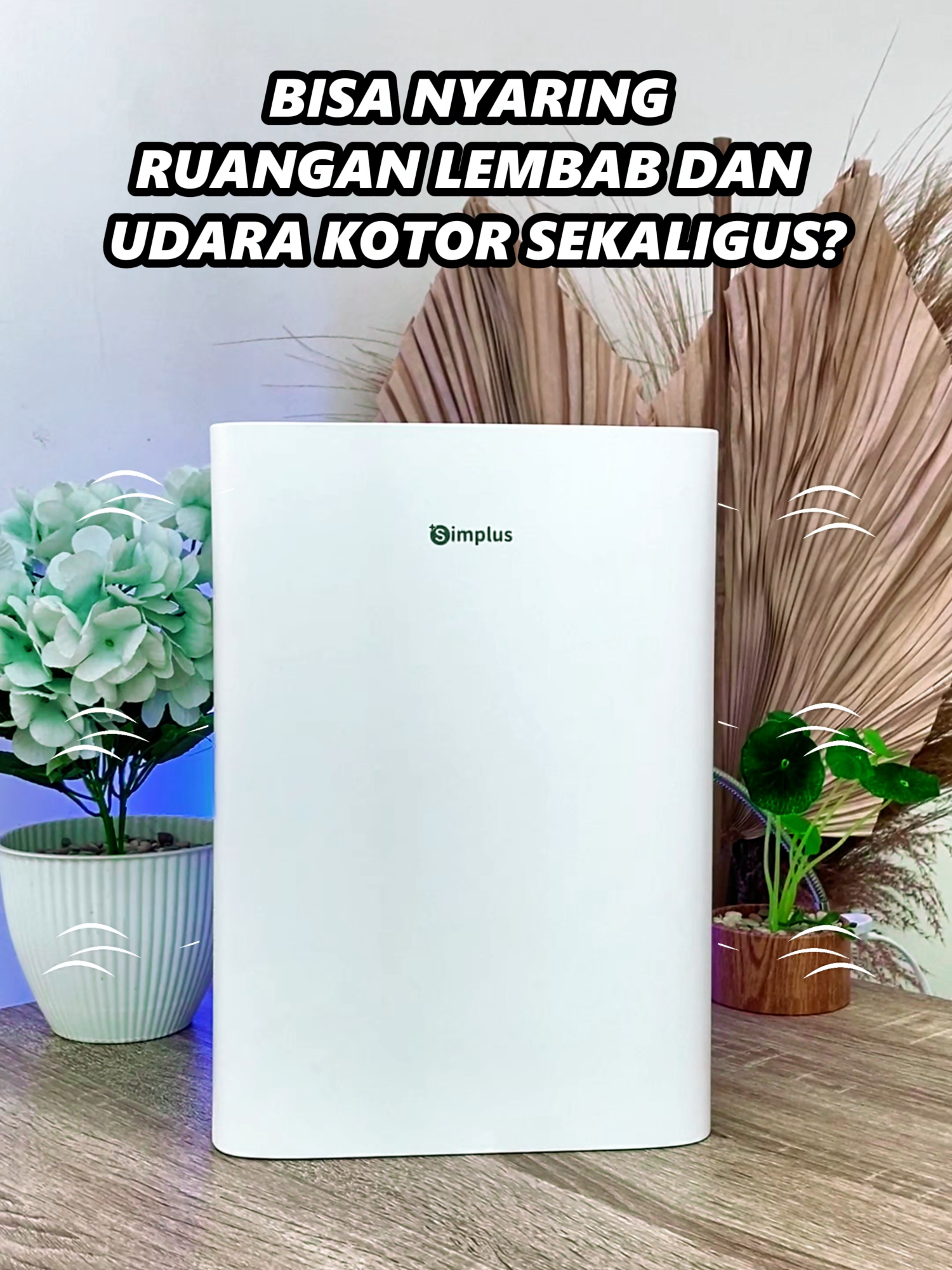 BISA NYARING RUANGAN LEMBAB DAN UDARA KOTOR SEKALI