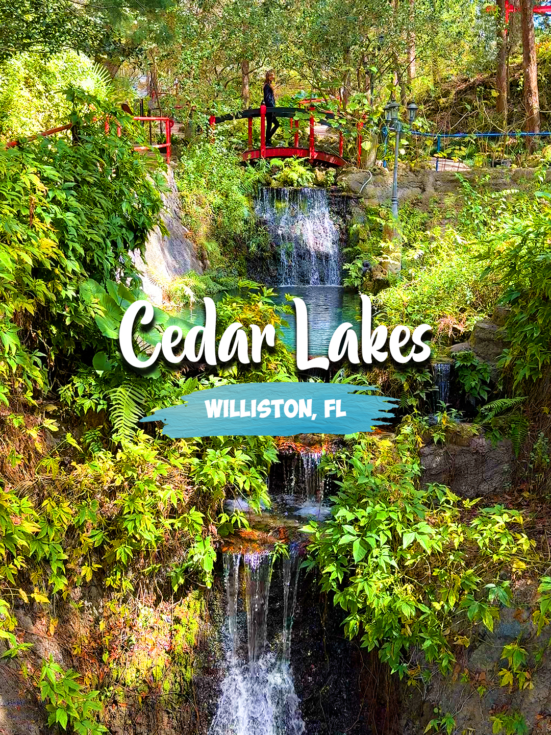 Cedar Lakes Woods & Gardens  . 📍 4990 NE 180th Ave, Williston, FL 32696 . The absolutely beautiful private garden in Williston, FL is worth a visit. We were surprised that this is in Florida and it gives a mix of fairytale and Asian aesthetic zen garden vibes. Add this to your next trip to the northern part of Florida.  . #TheSoFloDuo #SoFloGem #Florida #Floridatravel #travelcreators #travel #visitflorida #visitwilliston #cedarlakeswoodsandgardens #garden #thingstodo #fyp #explore