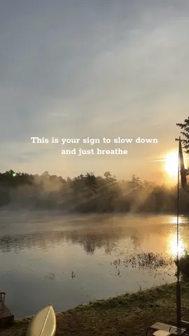 Mornings like this>>> #MorningInNature #SlowLiving #MindfulMoments #NatureTherapy #PeacefulVibes #NatureTok #SoftLife #RelaxingMorning #workingmom  #boston #bostontiktok #momlife #mom #momtok #workingmomlife #fyp #foryou #foryoupage #motherhood #lifewithkids #momcontent #relateablemoms #parenttok #momclub 