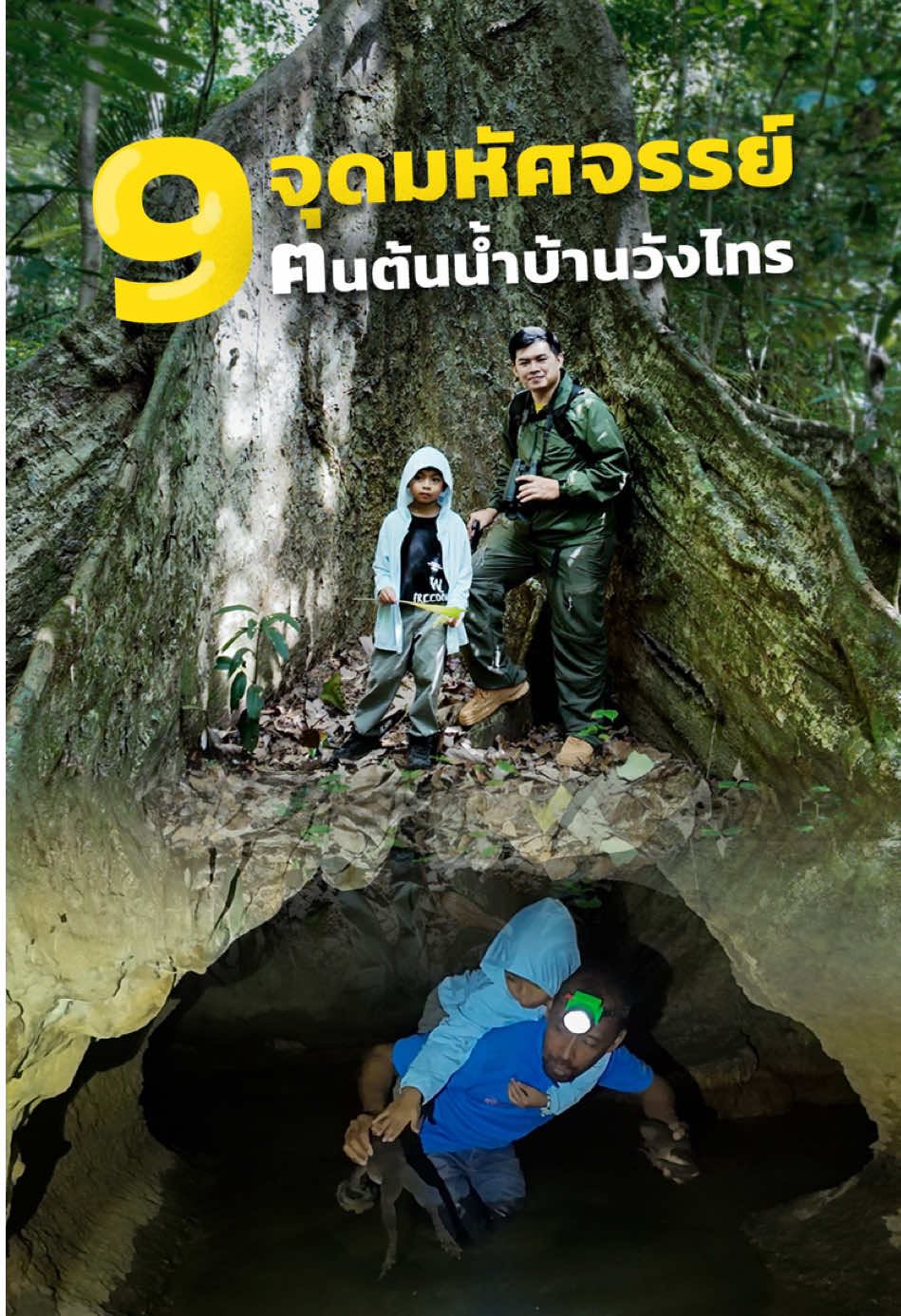 หนีร้อนเข้าป่า เดินเข้าป่าใต้ไปฟอกปอดกับ  🌳 𝒪𝓃𝑒 𝒹𝒶𝓎 𝓉𝓇𝒾𝓅  เดินป่าชุมชน ชม 9 จุดมหัศจรรย์ฅนต้นน้ำบ้านวังไทรกัน 🌳 จากป่าที่เคยถูกปล่อยร้างและถูกบุกรุกจากคนรุ่นก่อนๆ ชาวบ้านในชุมชนวังไทรแห่งนี้ จึงได้ร่วมมือกันเข้ามาดูแลฟื้นฟูป่าดิบชื้นผืนสุดท้ายของ ต.ถ้ำใหญ่ ที่มีพื้นที่กว่า 295 ไร่ จนป่ากลับมามีสภาพที่อุดมสมบูรณ์ และเป็นแหล่งต้นน้ำที่สำคัญของลำห้วยหลายสาย เมื่อป่าแห่งนี้กลับมาอุดมสมบูรณ์ ดินดี น้ำดี จึงมีการต่อยอดมาสู่การท่องเที่ยวแบบยั่งยืน และสร้างรายได้ให้กับคนในชุมชน  ไปเที่ยวชมความมหัศจรรย์ในป่าชุมชนแห่งนี้กับพวกเรากันนะคะ กับทริป “9 จุดมหัศจรรย์ฅนต้นน้ำบ้านวังไทร” #พาลูกเที่ยว#เที่ยวนครศรีธรรมราชช #เดินป#เดินป่าใต้ใ#ฅนต้นน้ําบ้านวังไทรทร#คนต้นน้ําบ้านวังไทร #ป่าชุมชนน#เดินป่าดิบชื้นน#เที่ยวทุ่งสงง#ถ้ําใหญ่ #ทริปเดินป่า #ทริปเดินป่าใต้ #เดินป่าทุ่งสง #พาลูกเที่ยวนครศรีธรรมราช #เที่ยวภาคใต้ #เที่ยวใต้ #แหล่งท่องเที่ยวนครศรีธรรมราช #ที่เที่ยวนครศรีธรรมราช #เที่ยวไทย #nakornsrithammarat #กิจกรรมเด็ก #กิจกรรมครอบครัว #กิจกรรมวันหยุด #ท่องเที่ยว #ท่องเที่ยวกับลูก #รีวิวที่เที่ยว #เที่ยวกับลูก #เรื่องของกรุบ #familytrip #familytripthailand  #thailand #tiktok #tiktokพาเที่ยว #tiktokพาเที่ยวทั่วไทย♥️🤟🇹🇭 #tiktokเที่ยวไทย #บันเทิงtiktok #tiktoktrip #tripthailand 
