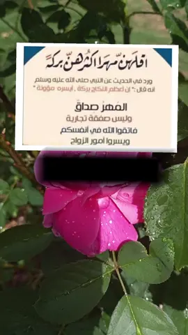 #الدكتور الشيخ احمد الوائلي رحمه الله#قال رسول الله..اقلهن مهراً اكثرهن بركه#اللهم صل وسلم وبارك على سيدنا محمد وعلى ال محمد كما صليت على ابراهيم وعلى ال ابراهيم انك حميد مجيد #313🏴 #فظلاً_وليس_امراً😘😇 اكسبلورر #محظوره_من_المشهدات_ولاكسبلور #فضائل_علي_بن_ابي_طالب #محظور_من_الاكسبلور🥺 #دعاء_يريح_القلوب_ويطمئن_النفوس🤲 :टिक टोक से मेरे वीडियो को न हटाने के लिए कहता हूं क्योंकि समुदाय दिशानिर्देशों का कोई उल्लंघन नहीं है और टिक टोक ग्राहकों को धन्यवाद देता हूंमैं टिक ट
