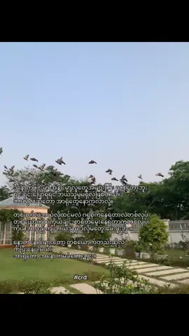 #တကယ်ပါ #fyppppppppppppppppppppppp #fyppppppppppppppppppppppp #စာသားcrd 