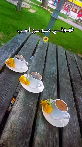 ☕قهوتي مع الغوالي 🌻..  آحلى قعدة بحديقتنا مع الناس الحلوة  #fyyyyyyyyyp 