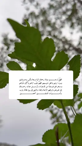 اللهم أرحم موتانا برحمتك الواسعة  #دعاء_يوم_الجمعه #فقدان_شخص_غالي #أمي#أبي #أخواني #دعاء_لموتانا_وموتي_المسلمين #تصويري #اكسبلورexplore 