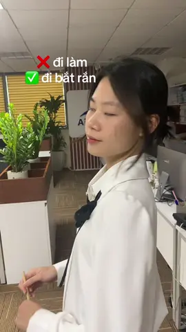 Triệu hồi con Rắn ẩn mình  #viral #xuhuong #vanphonggenz #logistics #ASG #fyp 