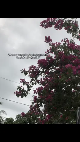hơn thì nói không thì nín..!😉#khiadeu #captiktok #? #xhtiktok #xh #xhtiktok #xhtiktok #xh #khiadeubanthan #song2matquazayban #fyp #caphay #abxyz #caphay #caphay #khiadeu #captiktok #xhtiktok 