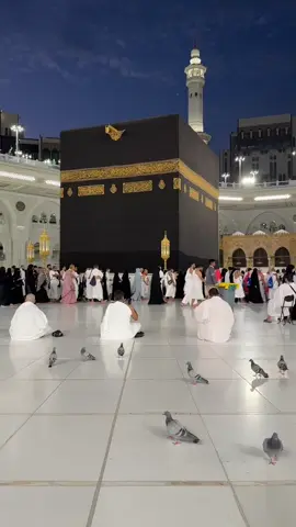 #عيوش_ابنة_الحرم_المكي 