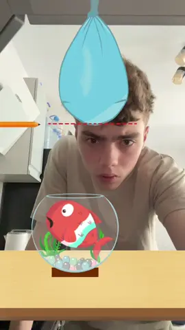 #fish #fup 