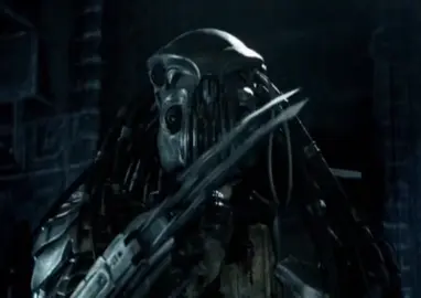 Alien vs Predator 2004 🔥🔥🔥 #aliensvspredator #aliensvspredatoredit #aliensvspredator2004 #alienvspredator #predators #aliensvspredator2004 #scaravp #scaravpedit #scaralienvspredator #scaralienvspredator2004 #scarpredatoravp #scarpredator #avp #chopperpredator #chopperpredatoredit #chopperpredatoravp #celticavp #celticpredator #celticpredatoravp #celticpreadtor #celticalienvspredator 
