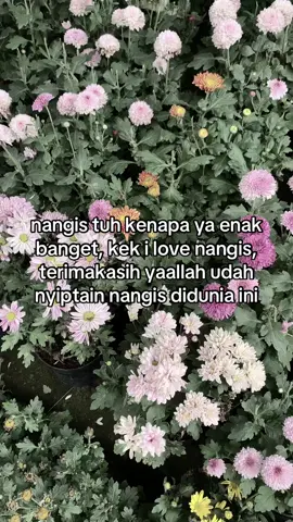jadi plong semua #fyp #xybca 
