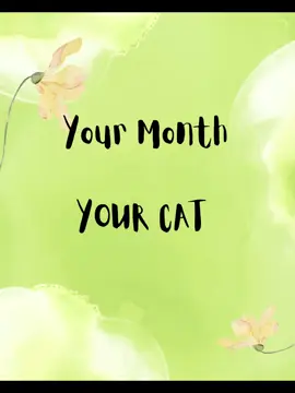 Which month is yours ?! #sphynx #sphynxcat #month #calendar #fyp #fypシ 