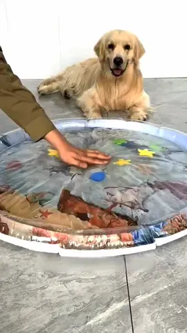 Pet cooling mats. #doglife #petcoolingmat #tiktokmademebuyit #dog 
