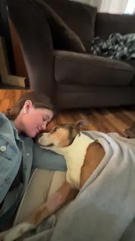 Besties for the resties 🤎 #doglove, #girlanddog, #petbond #dogmom, #cutepets