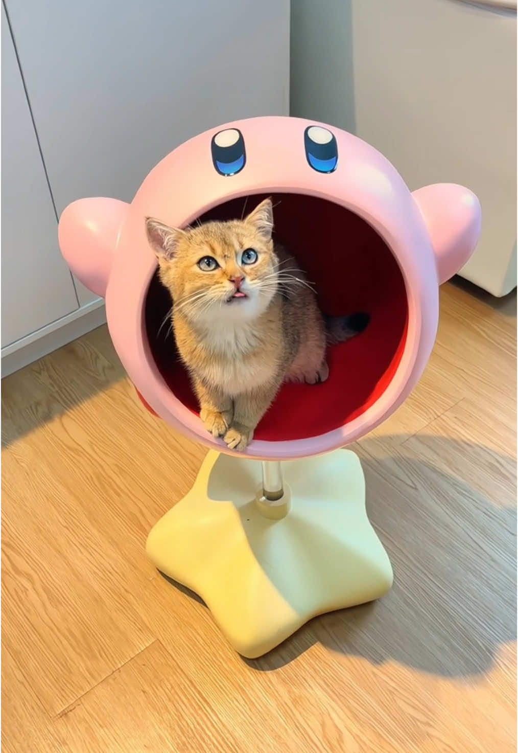 **🌟✨ Dive into the World of Kawaii Functionality!** ✨   **”Kirby’s Not Just a Character—He’s Your New Favorite Shelf Now!”** 🎀   Meet the **Official Kirby Snack Stand**—where *adorable meets practical* in a 65cm pastel dream! This isn’t decor... it’s a *lifestyle upgrade* for gamers and snack lovers alike.   👉 **SWIPE** to see why **1,000+** fans are obsessed:   ✅ **Ultra-Stable Heavy Base** – Weighted to perfection (no wobbles, even when fully loaded!)   ✅ **Premium Ceramic Build** – Scratch-resistant and *insta-worthy* from every angle 📸   ✅ **Spacious 14.5cm Platform** – Holds snacks, plants, or your entire Switch collection 🎮   ✅ **Officially Inspired Design** – No cheap knockoffs—just *authentic Kirby charm*   💬 Comment **”POYO!”** to claim this functional masterpiece!   🛒 Tap the link in bio—*10% OFF for limited time!*   #KirbyCore #GamerDecor #FunctionalKawaii #NintendoVibes   —   **P.S.** Warning: May cause *extreme* compliments from guests... and sudden snack disappearances. 😉🍬  