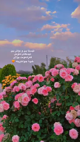#اللهم_صلي_على_نبينا_محمد #پۆستی_ئاینی🕋 #چەمچەماڵیم #الشعب_الصيني_ماله_حل😂😂 
