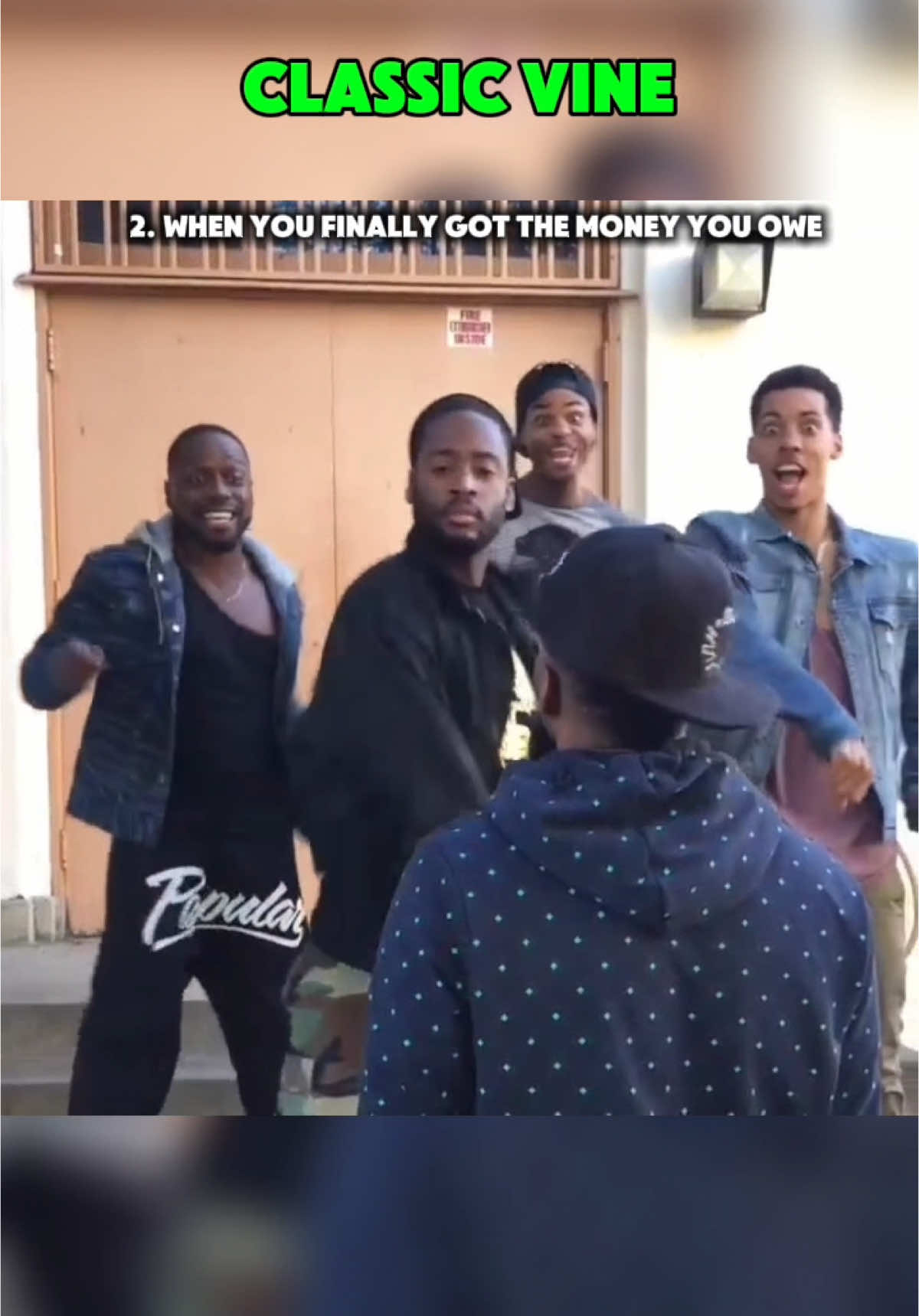Classic Vines 