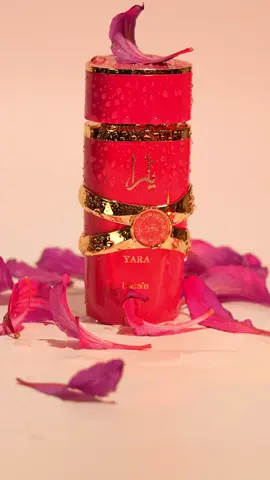 A febre do momento! Yara Candy de #lattafaperfume !  Compre um Rosa e ganhe um Candy de Brinde!!! 