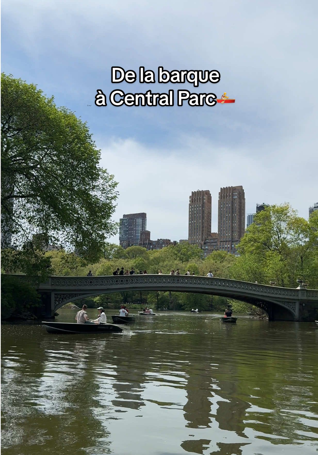 N’hésitez pas a telecharger mon guide (lien en bio) pour la visiter parfaite de New York !  #centralparc #visiternewyork #bonplannewyork 